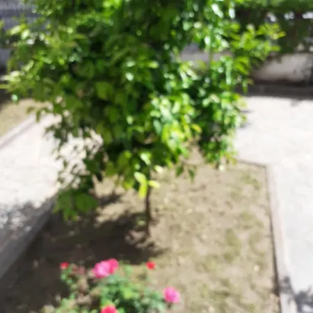 Asteris Apartman