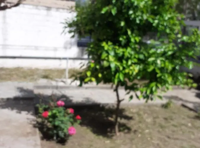 Apartment Asteris *